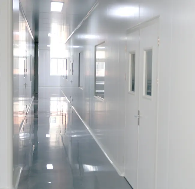 Fabbrica di spazzole per la pulizia di endoscopi professionali con camere bianche moderne standard GMP
