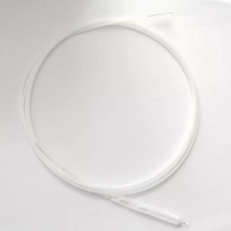 Spazzola endoscopica duodenale